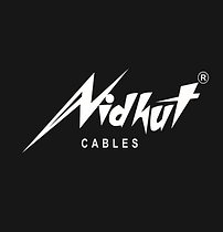 Bhadora Industries Limited IPO